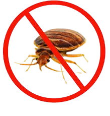 Bed Bugs Control